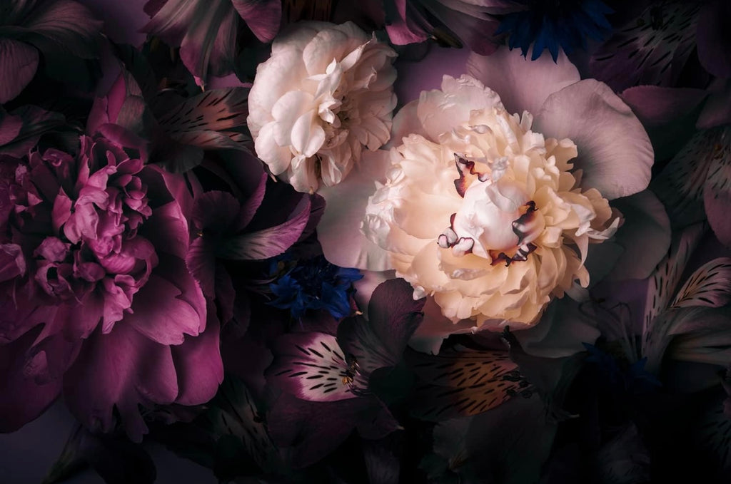 Midnight Bloom — 3D Floral Wall Mural